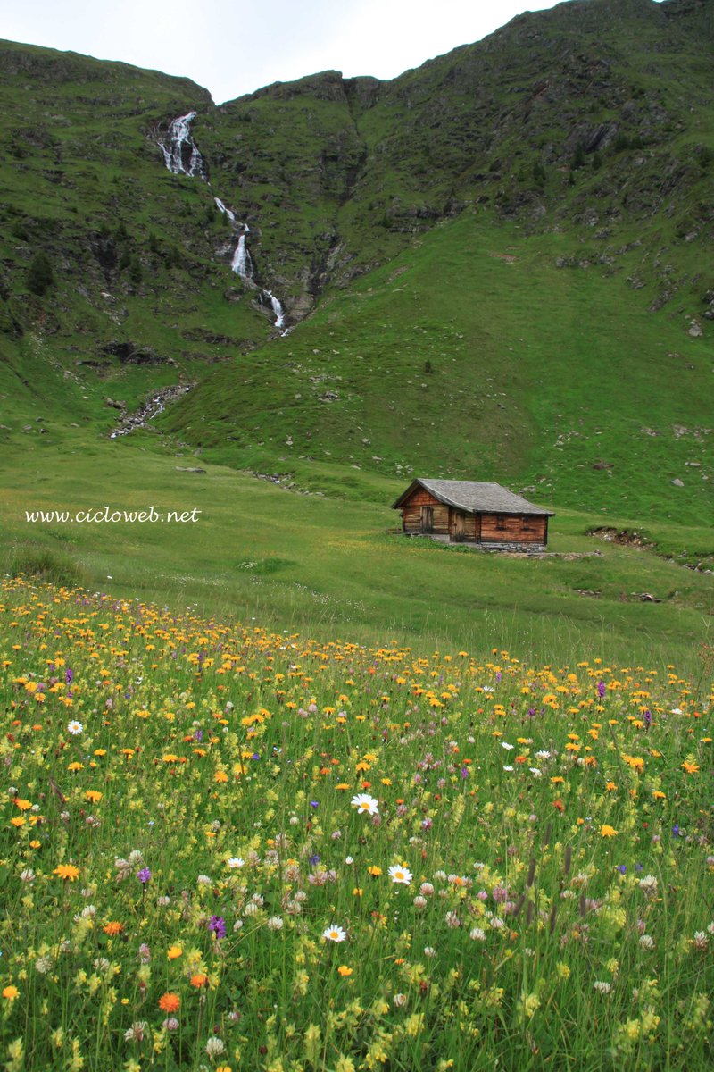 Due nuove pagine dedicate alle #passeggiate ed #escursioni da fare a due passi da #Vipiteno!

Clicca qui: cicloweb.net/trekking/t-alt…
e qui: cicloweb.net/trekking/t-alt…

#fleres #ridanna #racines #valdivizze #altoadige #sudtirol 

<a href="/altoadige_info/">Alto Adige da vivere</a>