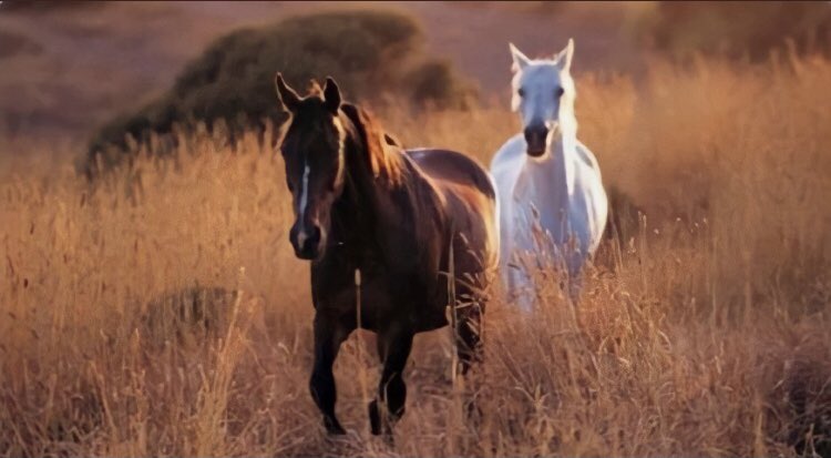 "İnsan, insanı menfaatle değil, gönül bağıyla sürüklemeli; yormadan, kırmadan."

 #bitcoindiamond