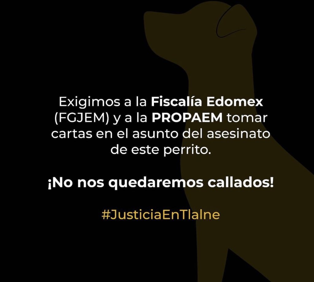 oshelca's tweet photo. #JusticiaEnTlalne #justiciaentlane 
Que no quede impune este asesinato
@FiscaliaEdomex @propaem_sma 

*créditos al(los) autor(es) de las imágenes*

#RT #TT https://t.co/SZ7ioJAsoj