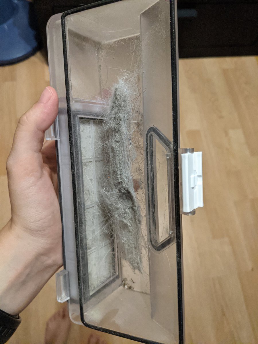 _irio's tweet photo. @Akkordeonistika Да! Вот столько он собрал через 12 часов после предыдущего запуска. Ездит как улитка, оставляя за собой мокрый след - то, что вдруг не попало на щетки, попадает ему же на тряпку. Впервые сегодня у нас ноги без шерстяных подошв 😁 https://t.co/KyVJdkEVVs