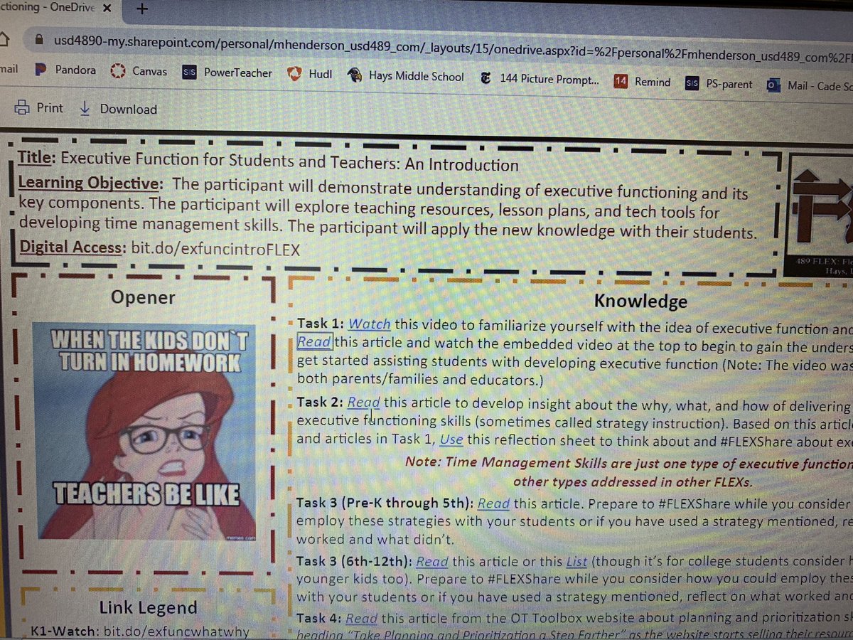 Learning about Executive Function for Students and Teachers. Teaching kids HOW to learn. <a href="/489Flex/">489 FLEX</a>