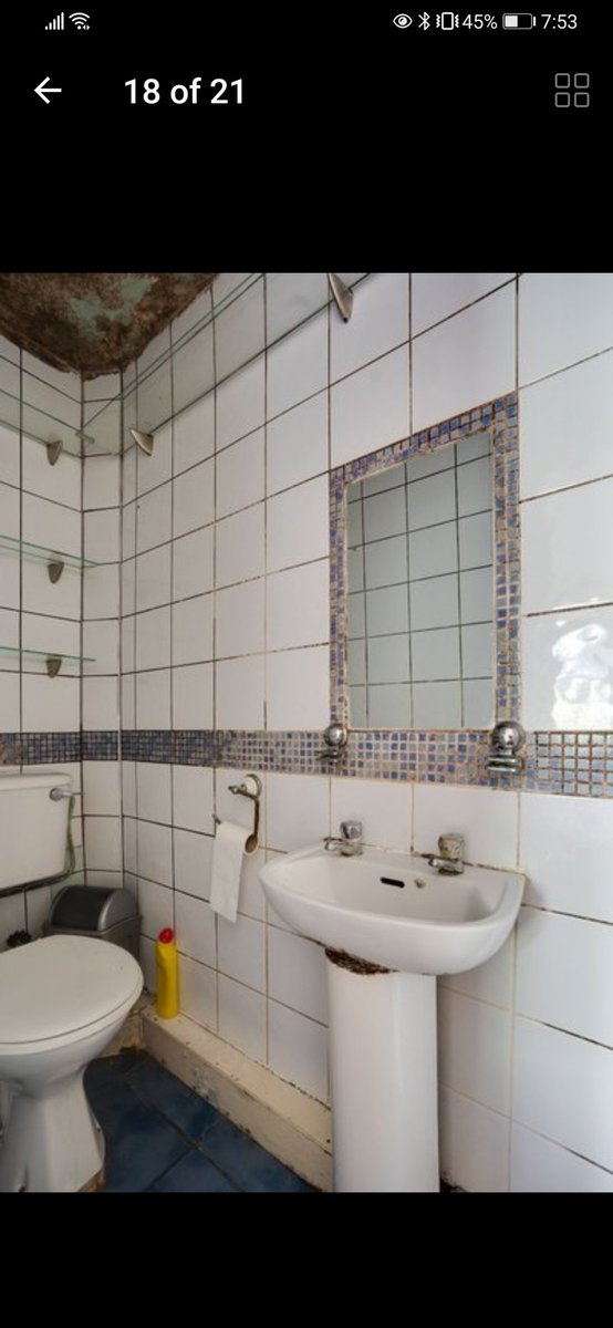 crazyhouseprice's tweet image. This is the bathroom in a house in Ranelagh that's for sale for €1.2 million #crazyhouseprices