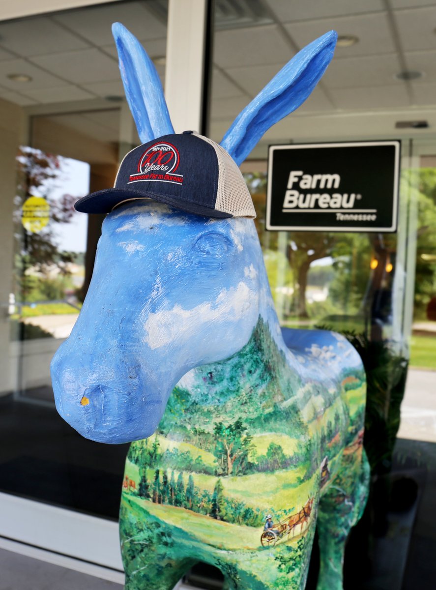 We're having a fun little giveaway over on our Facebook page with our 100-year hats and why Columbia or 'Muletown' has been our home for the past 100 years... Any guesses??? 😉 #TNFarmBureau I #TFBF100