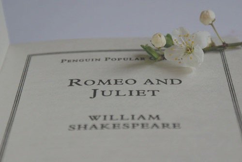 Don’t mind her. She sat on a bench in a beautiful park reading her favourite book written by the wonderful Sir William Shakespeare.