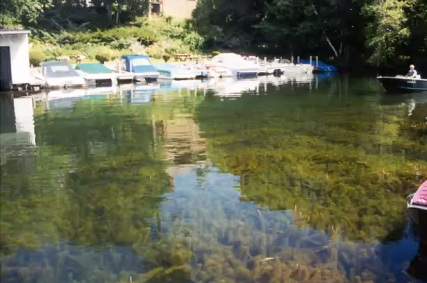 TheSIAMNews's tweet photo. Diana White (@diana_terese) used #math modeling and #MachineLearning to investigate different mitigation strategies for the #invasive watermilfoil, a fast-growing aquatic plant, at #SIAMAN21. Read more here! https://t.co/EiJTUnY60l https://t.co/yyh1QkMDZk