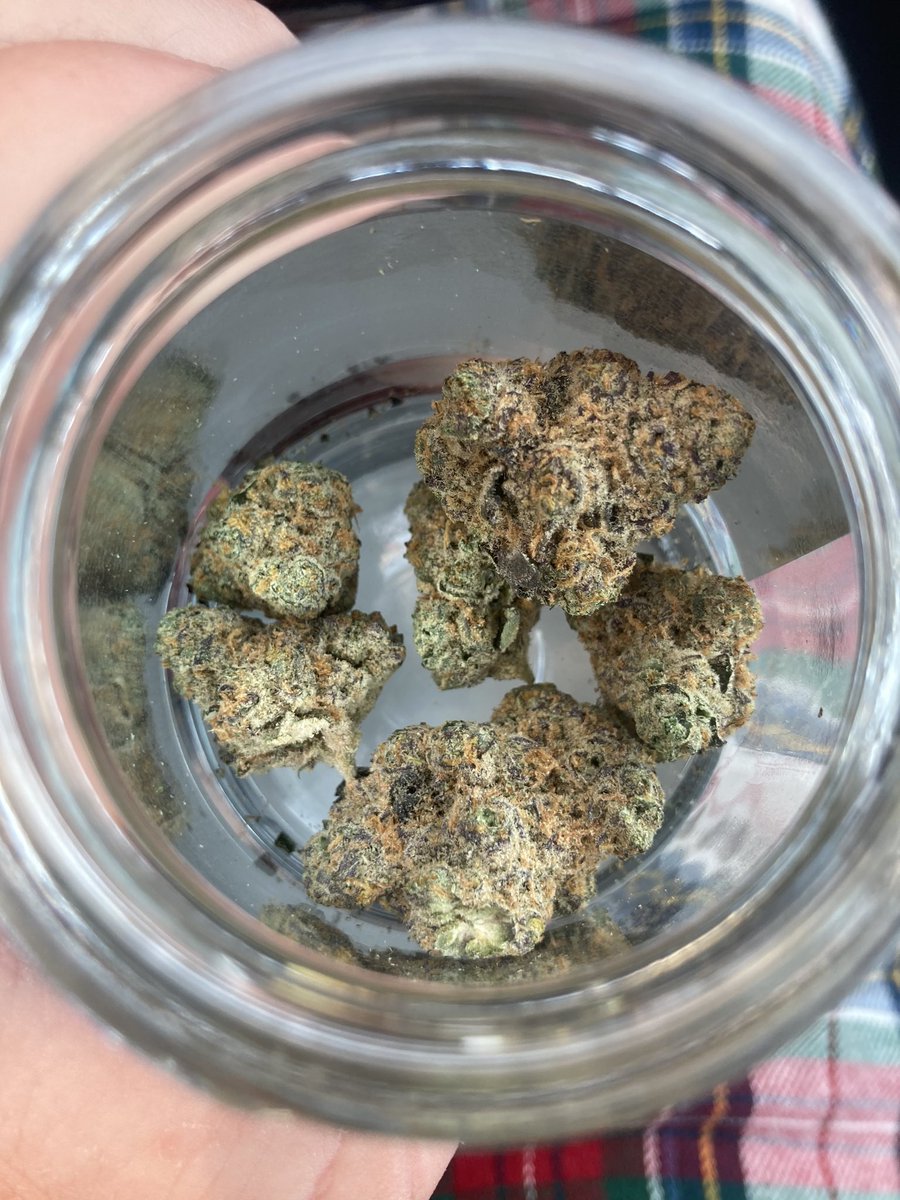 Gelatti (Gelato x Biscotti)