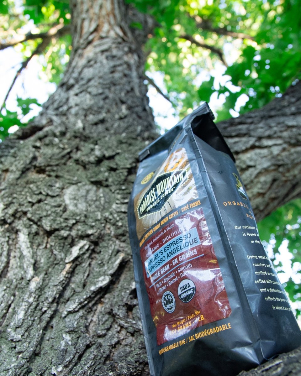 A tree tells us that no matter how high we go it is from our roots that we draw sustenance.