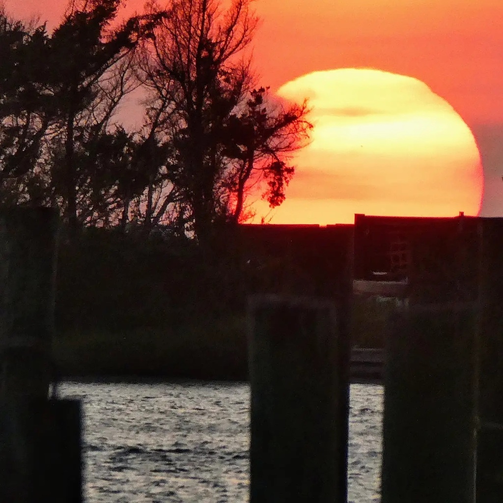 RoamingDaWorld's tweet image. The sun has set on our 3-mo #RoadTripUSA here in our latest destination, where we found a charming town with its own dialect, a pirate hangout, famous ponies, and even a tiny sliver of British soil right here in the US!

📍 Roaming around #OcracokeIsl… instagr.am/p/CR14As9rzdK/