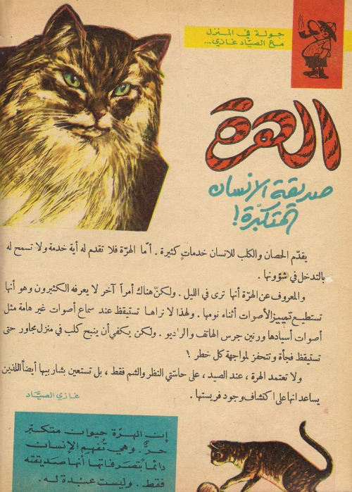 5ormmm's tweet photo. أصدق ما قيل في القطط https://t.co/HE3rAVi3h4