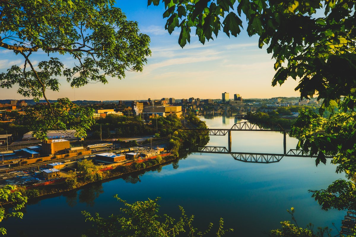 University of Tennessee Admissions tweet media