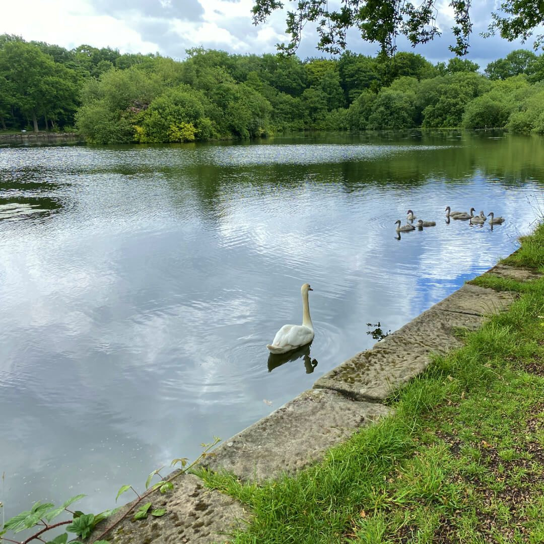 Lawnswood School Ofsted