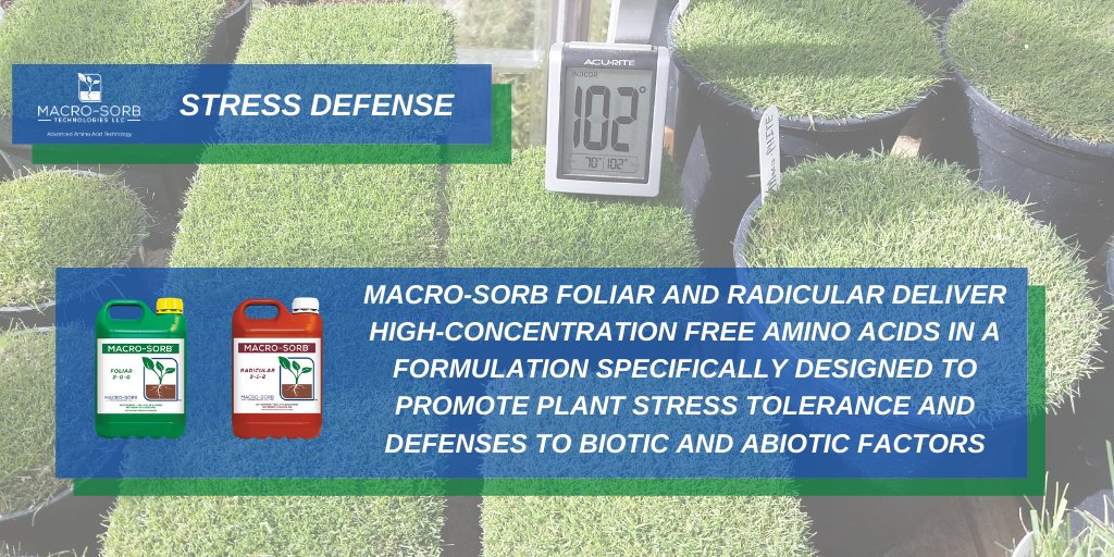 Push through the last few weeks of summer heat!   Macro-Sorb amino acids help maintain turf quality through the stresses of summer by increasing heat and drought tolerance.  buff.ly/2WaMqhs