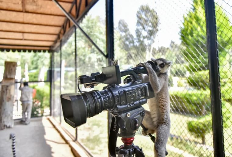 murtazasolangi's tweet photo. Suggest a caption please! https://t.co/cL9oN3mWMk