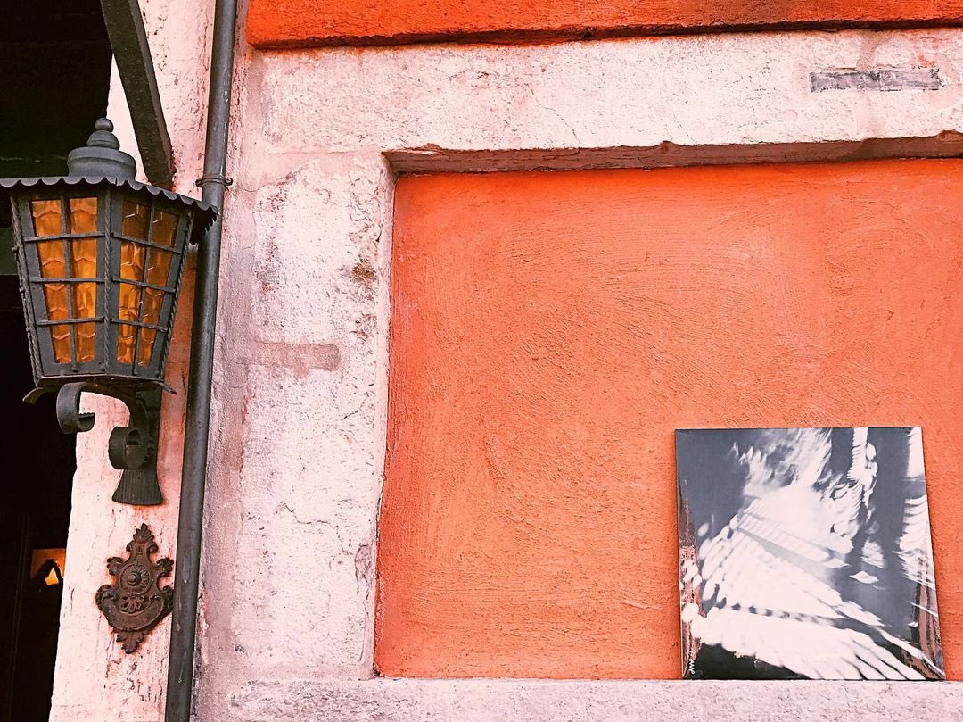 hitramusic's tweet photo. Our new #Transparence #Vinyl chilling on a #Venetian red wall ❤️#LP available on @Bandcamp as well as the best vinyl stores near you 🎼
.
If you are currently in Paris 🇫🇷 you can find your copy at wonderful shops @BaladesSonores #BigWaxRecords @soufflecontinu 👌🏻#vinylcollector https://t.co/7QKWMDvVZg