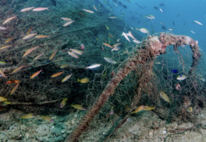 plasticlessn's tweet photo. “Trawl nets are the most destructive fishing method as they permanently wreck habitats and produce tragic amounts of bycatch”

Petition to ban trawl nets in UK needs <3,000 more signatures. Please sign ➡️ https://t.co/YrzHGGPtA4

We need #sustainable #fishing @DefraGovUK https://t.co/Z8yXCtcWhn