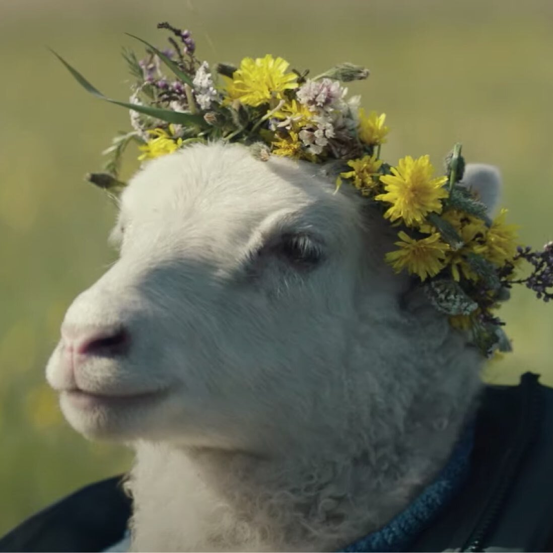 Variety on Twitter "The trailer for A24's horror film Lamb