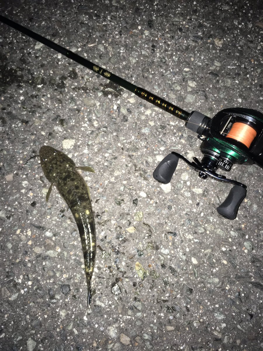 ベイトフィネス