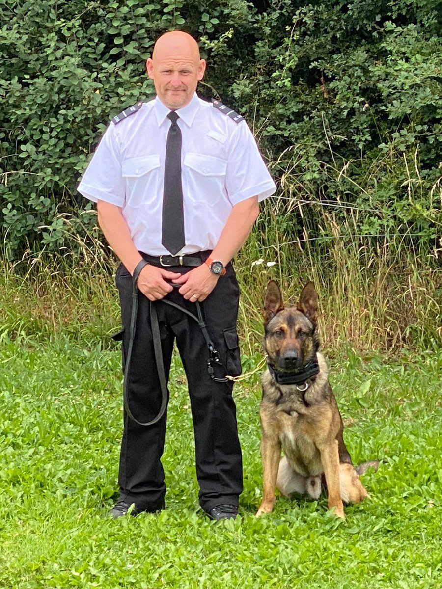 DogsHmpps's tweet image. Congratulations to Oscar and handler from @HMPFullSutton who today passed their initial Patrol Dog Course. They are now licensed to work! Oscar was supplied by a charity so now has a new life with HMPPS. Good luck team! #OperationalDogs #PrisonDogs #WorkingDogs #K9