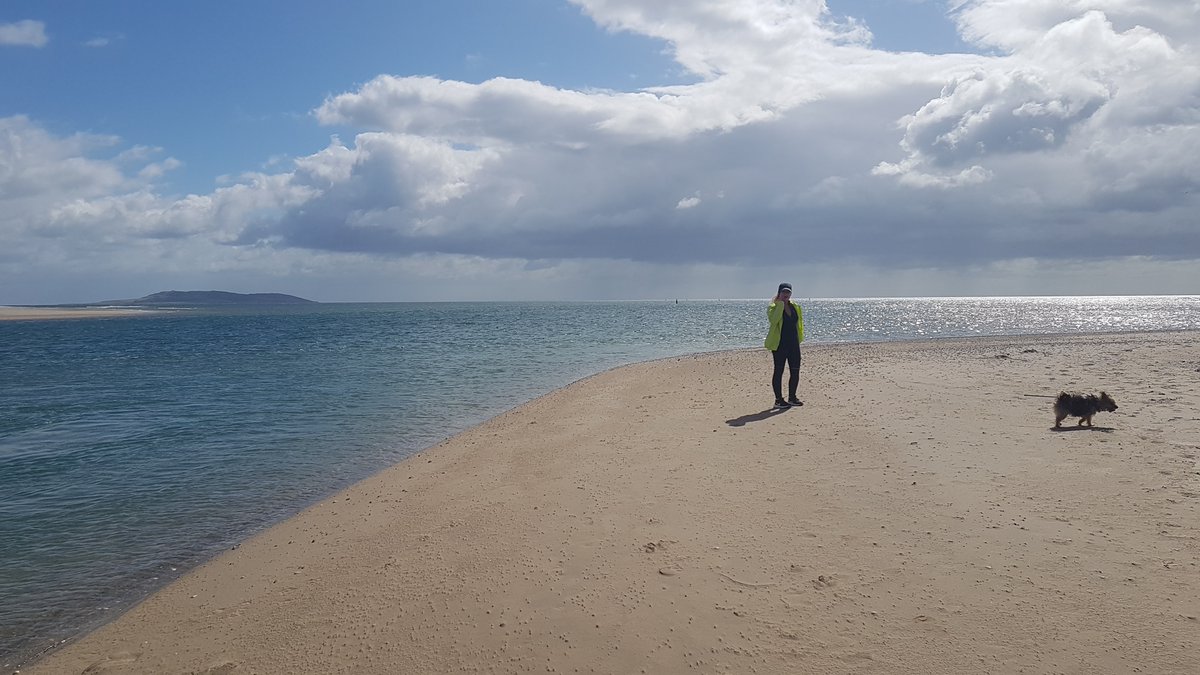 The deadline for submissions is 5pm on Friday 30 July for the Marine Protected Area's Public Consultation. For more info 👇
maryfitzpatrick.ie/marine-protect…
@DeptHousingIRL #LoveYourSea