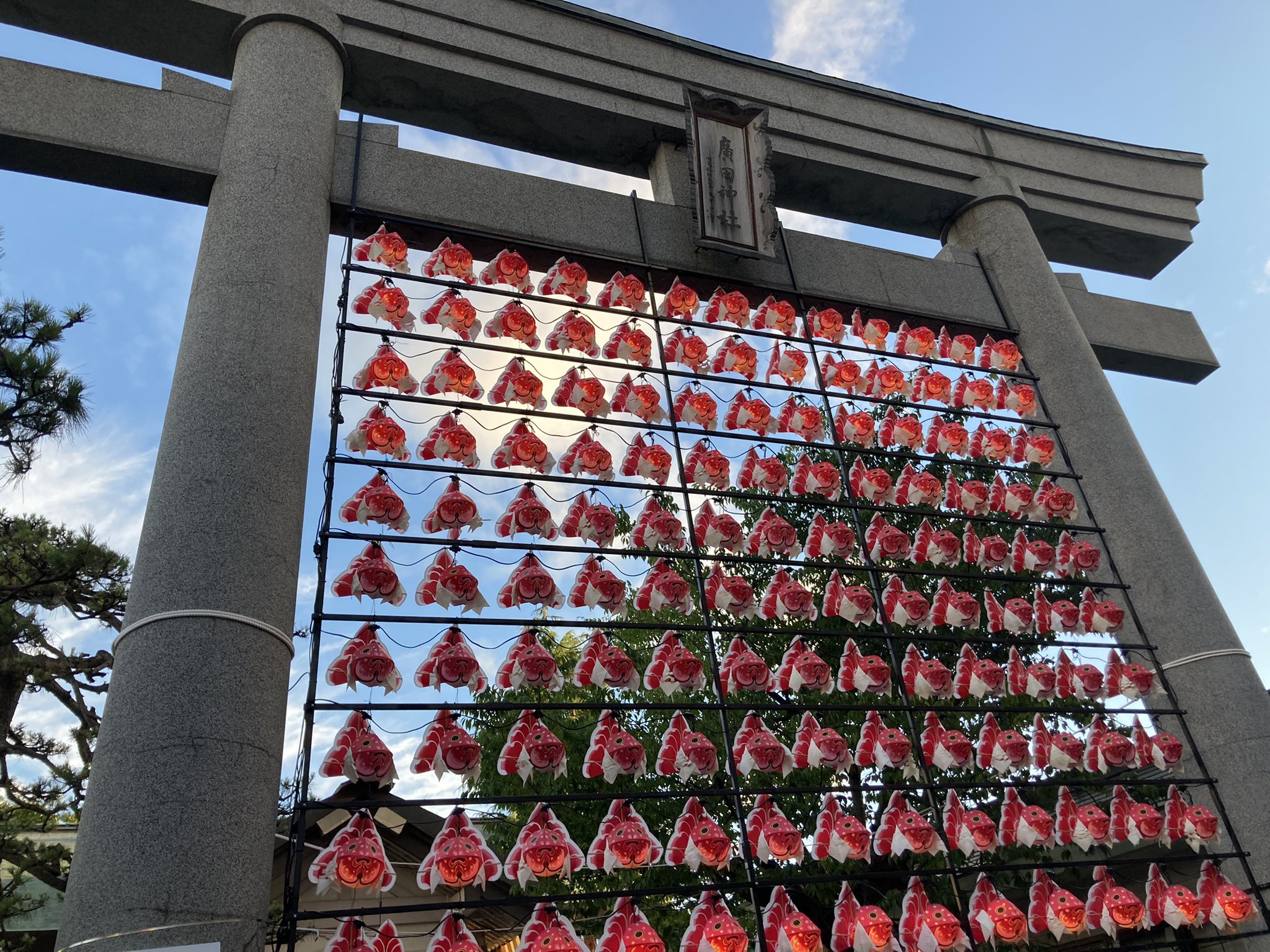鱗 廣田神社さんの大鳥居の金魚ねぶたを観に行って来ました まだ明るい時間だったので この時点では点灯してるのがわかりにくいかな 青森 廣田神社 金魚ねぶた T Co Qr6s4fiihs Twitter