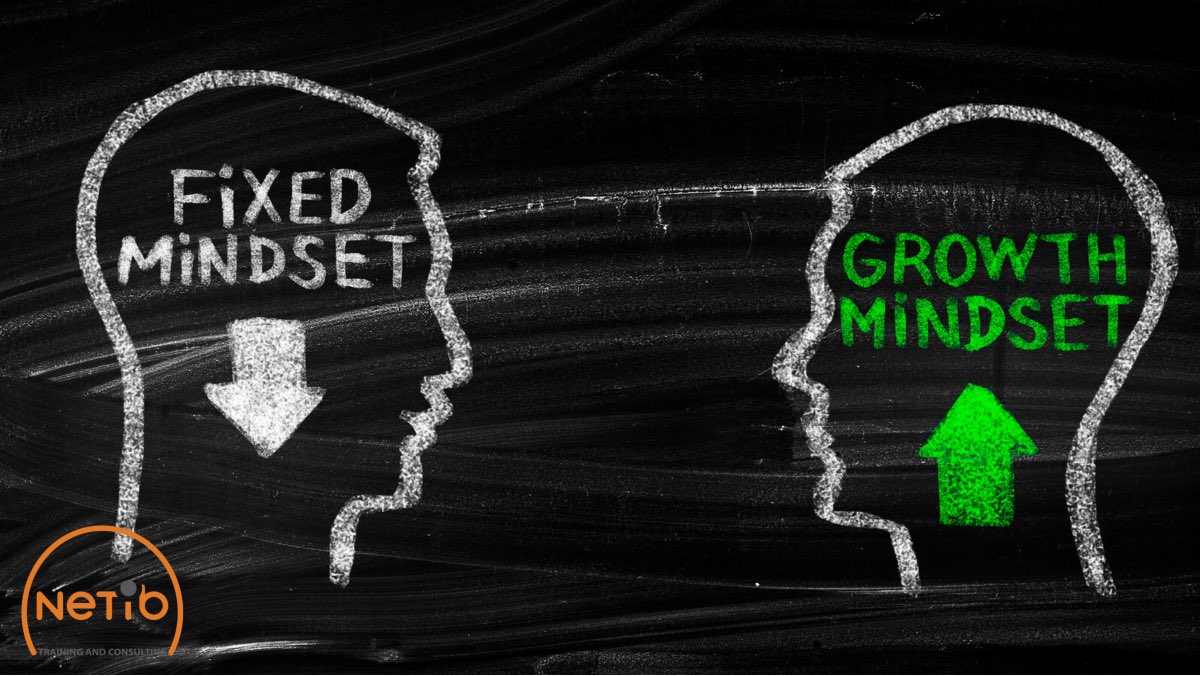 netibconsult's tweet photo. #growthmindset vs #fixedmindset https://t.co/8DOnY30w5v