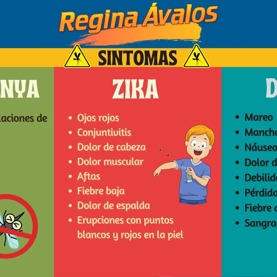 RAepo267's tweet photo. En esta temporada de lluvias... Recuerda tomar las medidas preventivas contra el Zika, dengue y Chikungunya.
#Reginateinforma https://t.co/3h83GCVyEQ