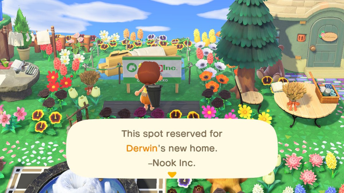 mswaitwut's tweet image. #AnimalCrossing #ACNH #NintendoSwitch