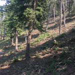 Photo by Custer Nat'l Forest (@CusterNF)