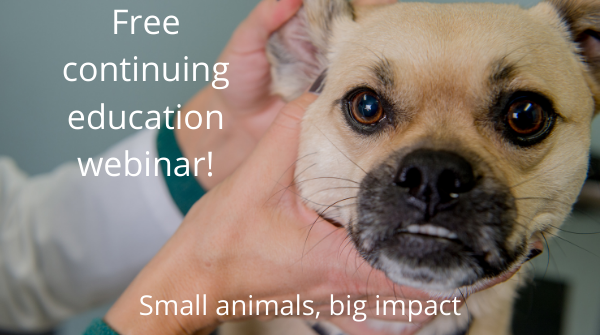 Are you a #veterinarian or technician interested in a free CE webinar on antibiotic use? It’s as easy as signing up for this study on #antibiotic use in #cats and #dogs in small/mixed animal general or non-academic referral practices. Sign up: arsi.umn.edu/gppps 
<a href="/AVMAvets/">AVMA (American Veterinary Medical Association)</a>