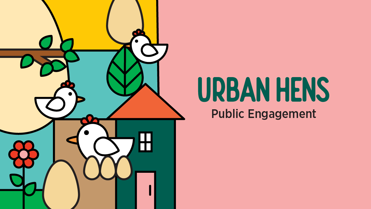 Tomorrow: Join <a href="/MiLivingGreen/">Mississauga Green</a> from 6-7pm for a virtual public session to learn about and provide feedback on a city-wide urban hen program. Register at ow.ly/QWET50FEFy5

You can also take our online survey: ow.ly/FA7a50FEFwj