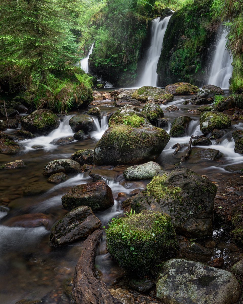 Woodlands and waterfalls definitely my favourite thing to photograph