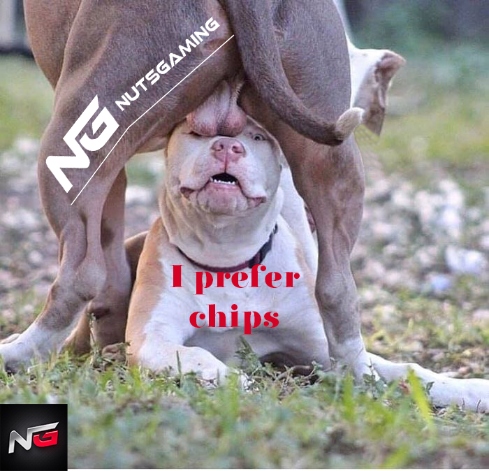 HenkHalloja's tweet photo. When somebody misunderstands the 'Nuts' in $NUTSGaming
@NUTSGamingBSC https://t.co/88PhMtS1sT