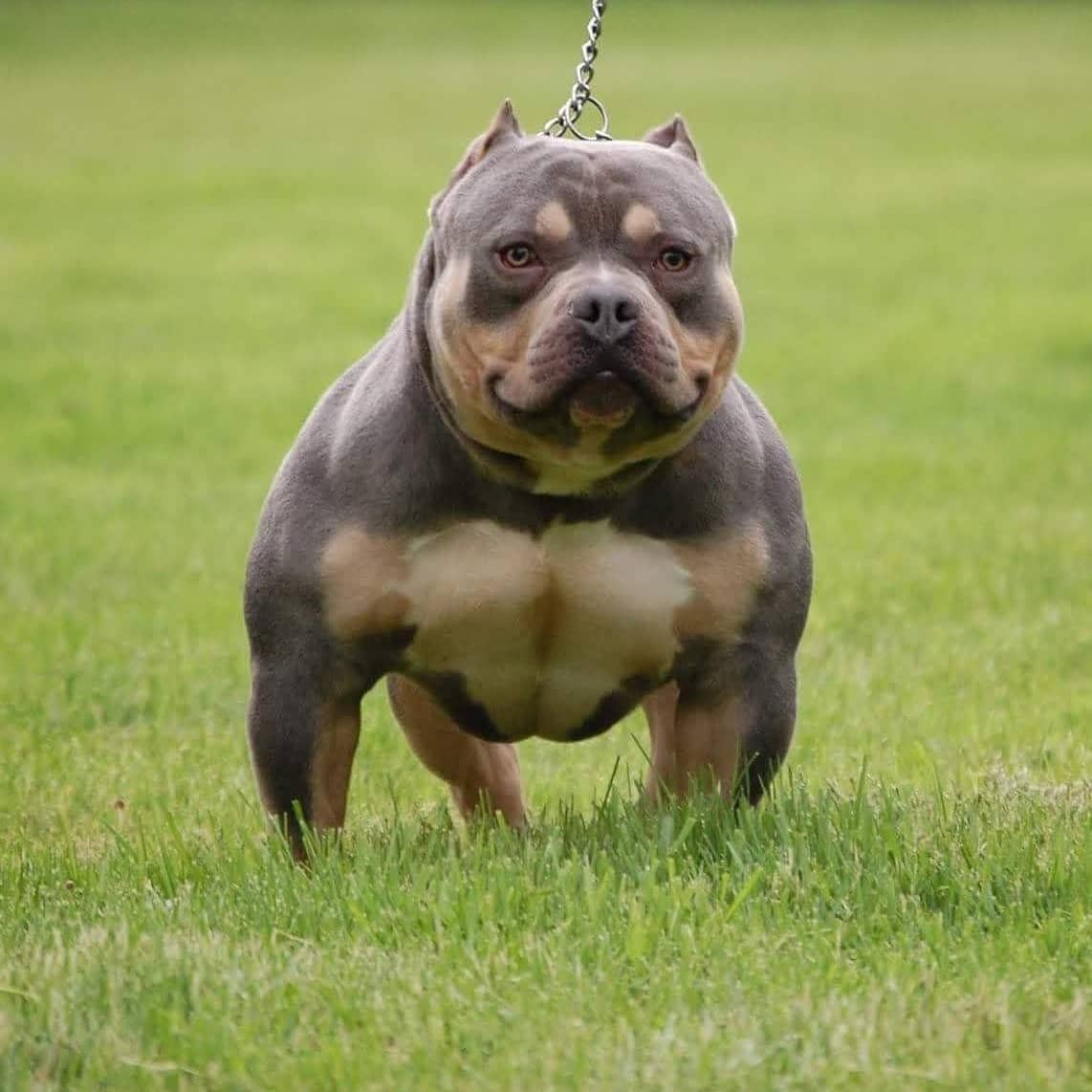 MBKKENNEL's tweet photo. #NewProfilePic https://t.co/9YASvuPUqt