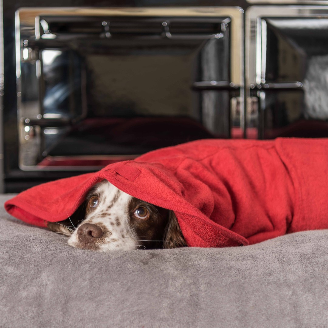 RuffTumbleCoats's tweet photo. Is your dog scared of summer thunderstorms?
Swaddle, comfort and calm your dog in a Ruff and Tumble Drying Coat.
One coat, many uses....
SHOP: https://t.co/6VGzQwgqcd
#scareddogs #dogsandthunder #ruffandtumble #dryingcoats https://t.co/653WANFA9k