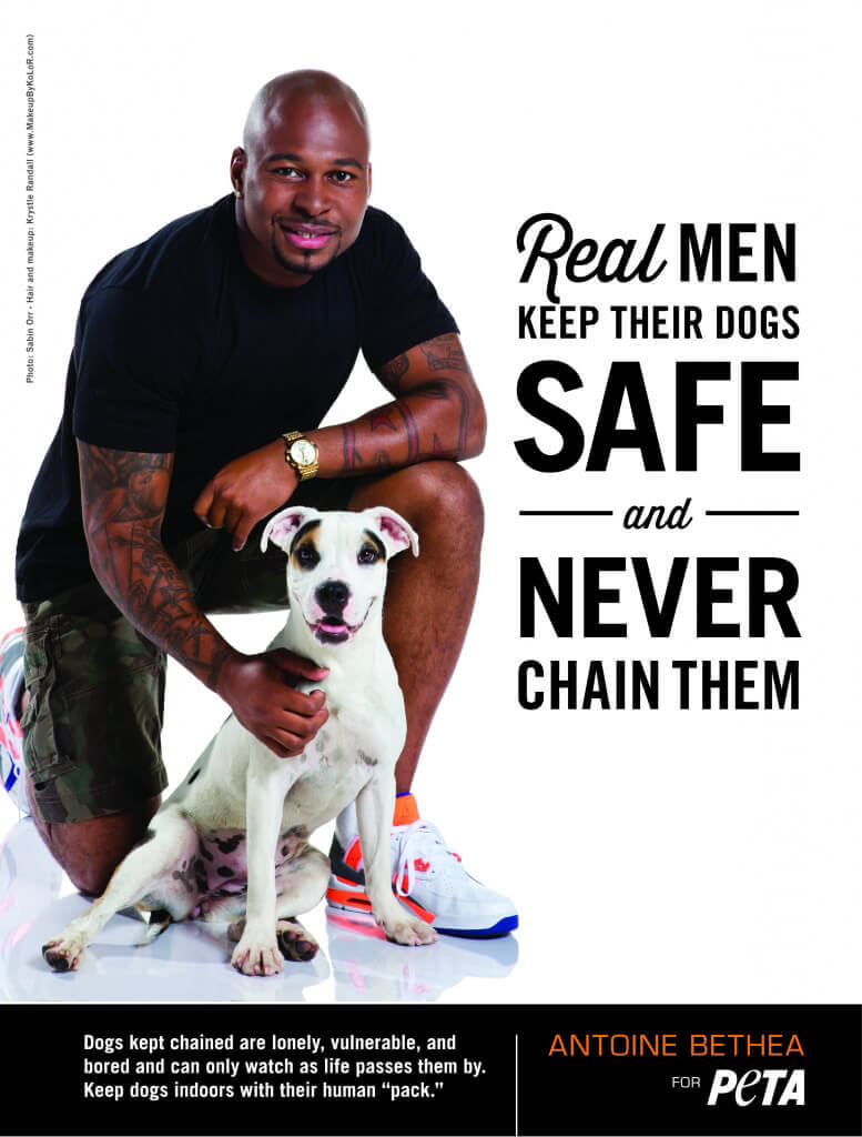 peta's tweet photo. @abethea41 Happy Birthday to a great voice for dogs! We hope you have an incredible day 🎉🎉🎉 https://t.co/mqzyBaTR4E