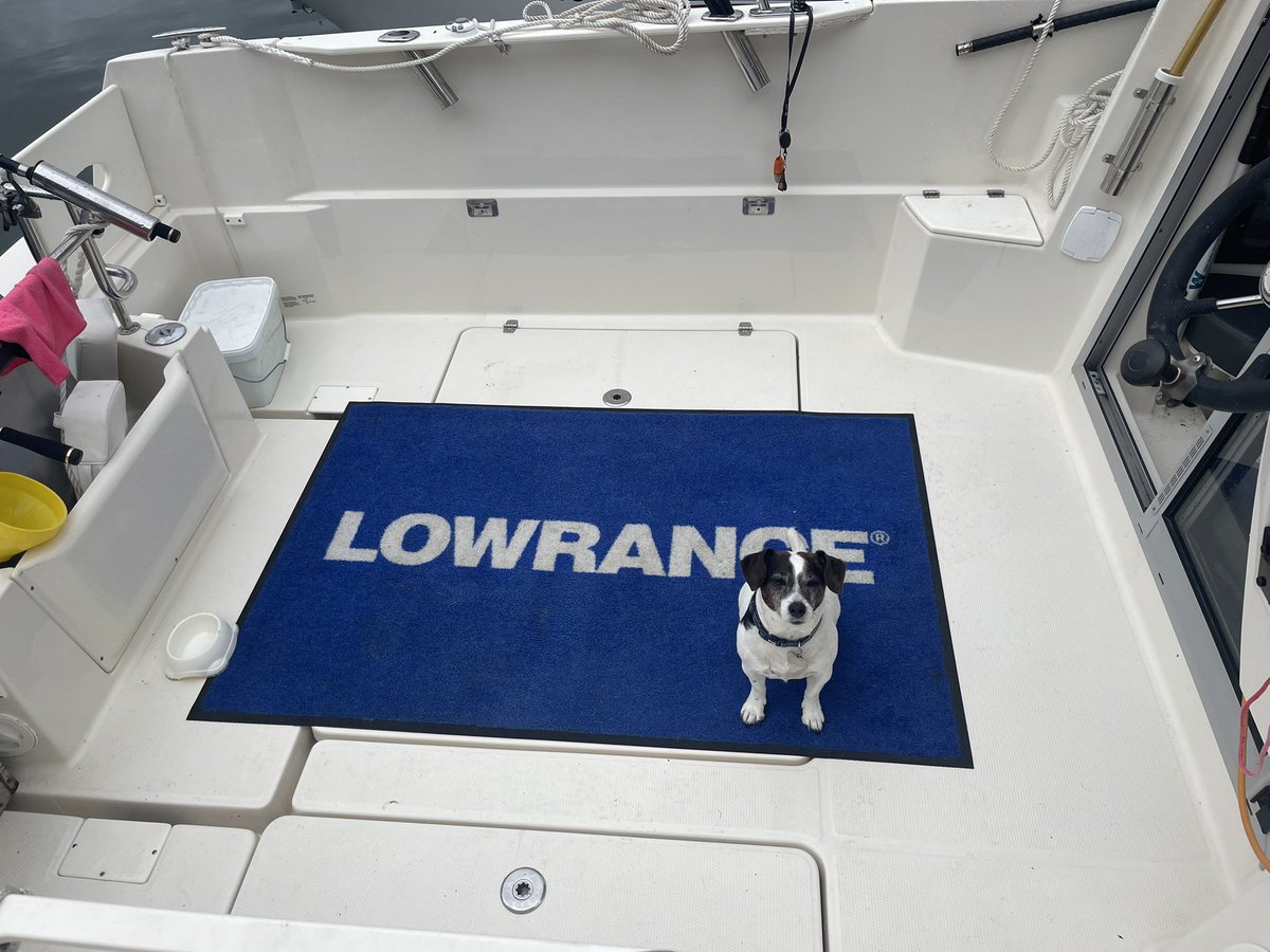 manicfishing1's tweet photo. Got the boat cleaned up after fishing the sea angling classic many thanks ross honey & team for a great event😎. @lowranceEURO #seafishing #fish #Mercurymariner #lure #Marina #fishinguk #boatfishing #lowrancefishing #HDSLIVE #fish #Nature #sportsfishing #pet #dog #Angling https://t.co/pCrfr5Dz9l