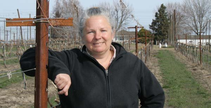 #Deficitirrigation is used to keep #winegrapes (esp. reds) small and concentrate their flavor. But in this #Vineyard Team podcast, #WSU emeritus prof, #soilscientist Joan Davenport, reveals some unintended consequences on #soilhealth. #graperesearch bit.ly/3x4yiFR