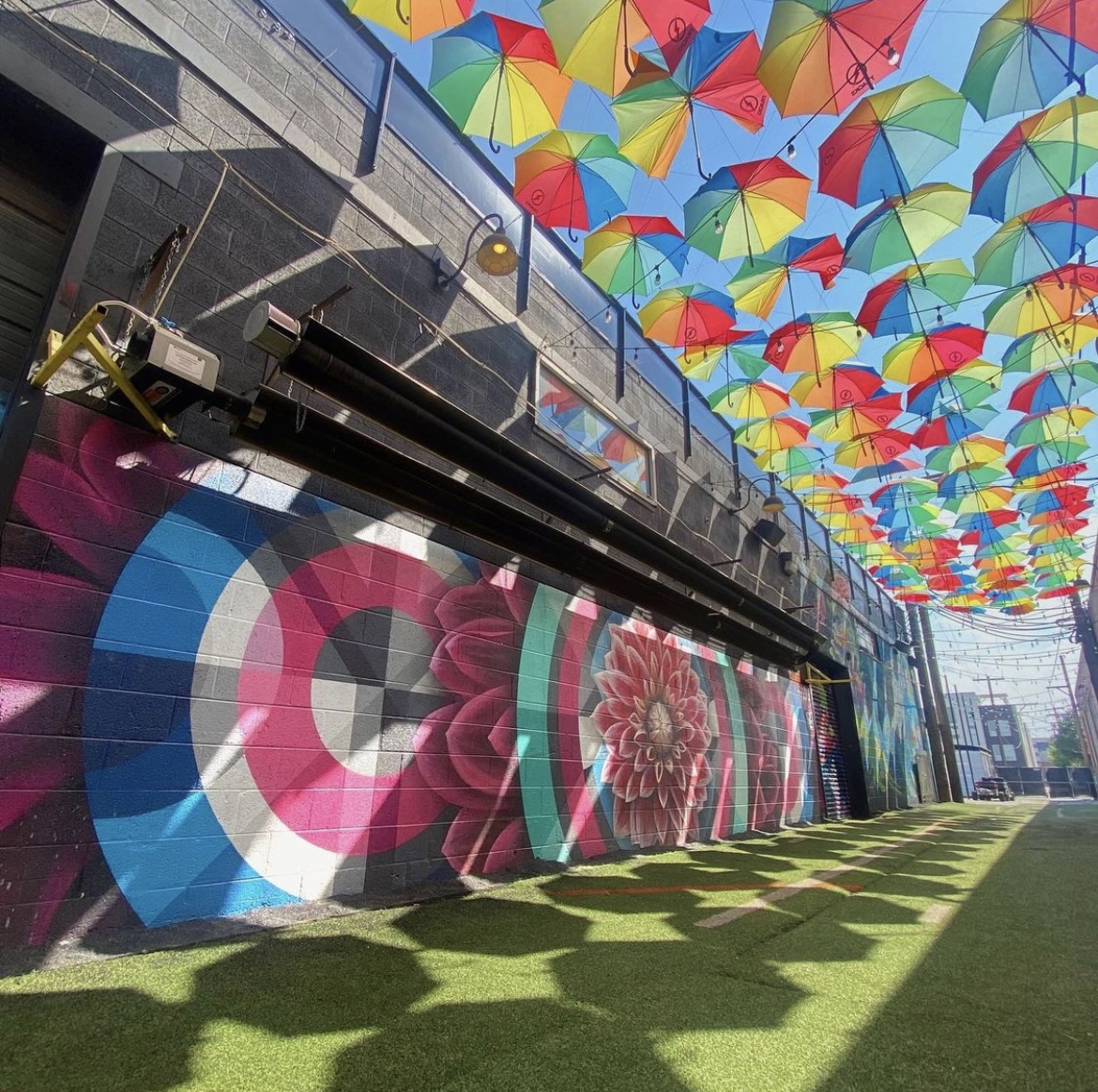 RiNoArt's tweet photo. Beautiful shot by none other than one of the artists themselves.
Umbrellas + florals over @EXDOEvents by @JasonTGraves + @remingtonrobinson done in 2019.
Photo credit: @remingtonrobinson
#rinoartdistrict #fivepoints #globeville #cole #elyria #swansea #rinodenver #denver https://t.co/nlwNzIysn0