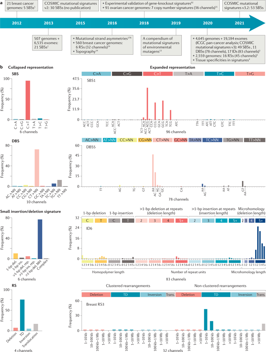 Nature Reviews Cancer tweet media