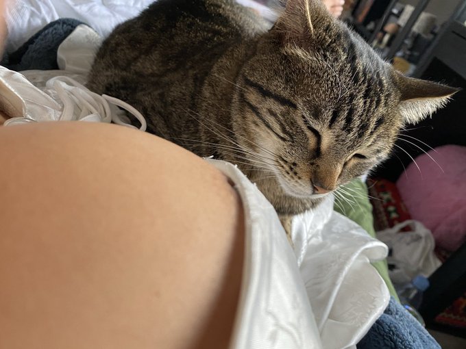 Watch kitty ♡'s leaked NSFW photo on TwXstars