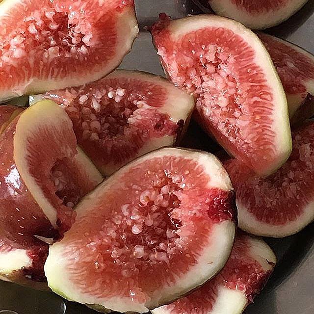 jayandcobeauty's tweet photo. The power of the fig fruit. It’s known to have several benefits for the skin but here’s just a few: https://t.co/0o87QPMTfq