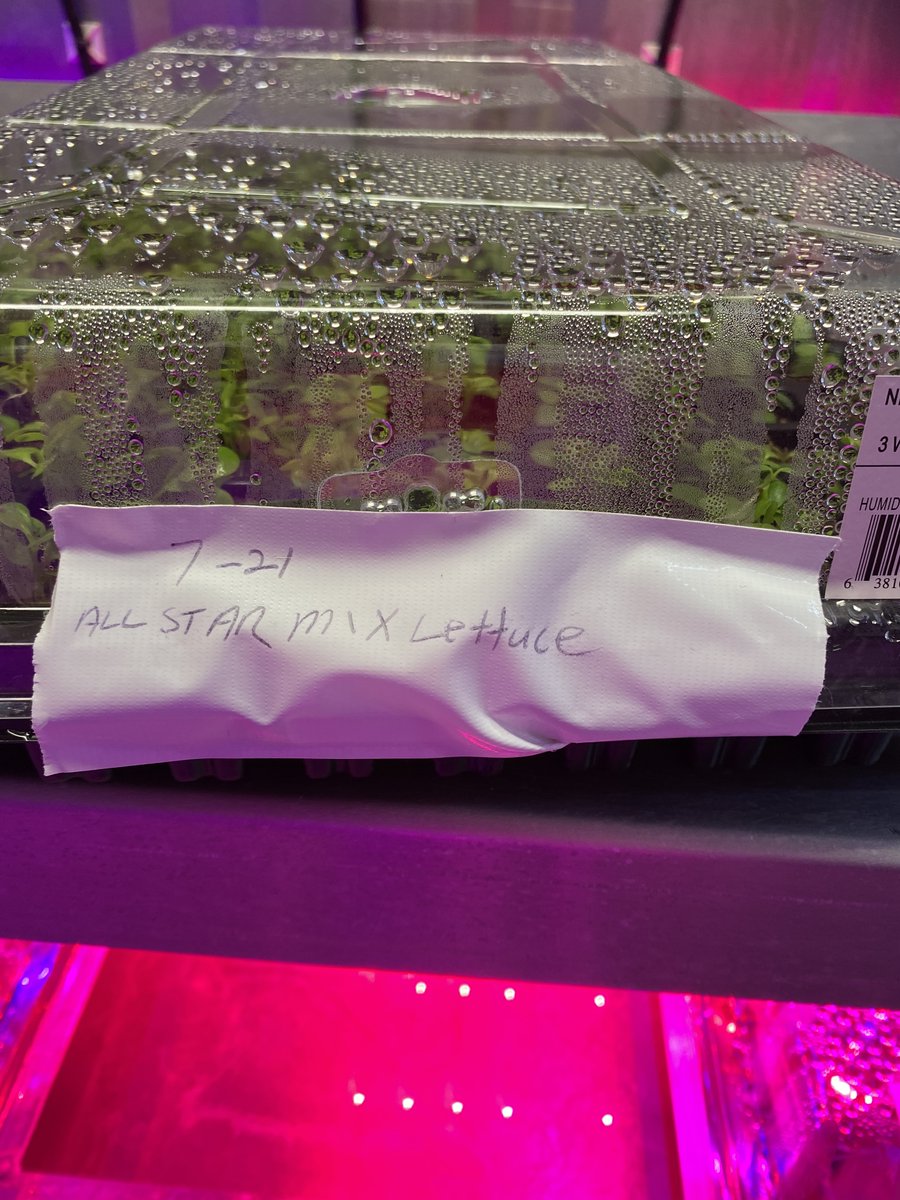 Leafy Green Farms (@LeafyGreenFarms) / Posts / X