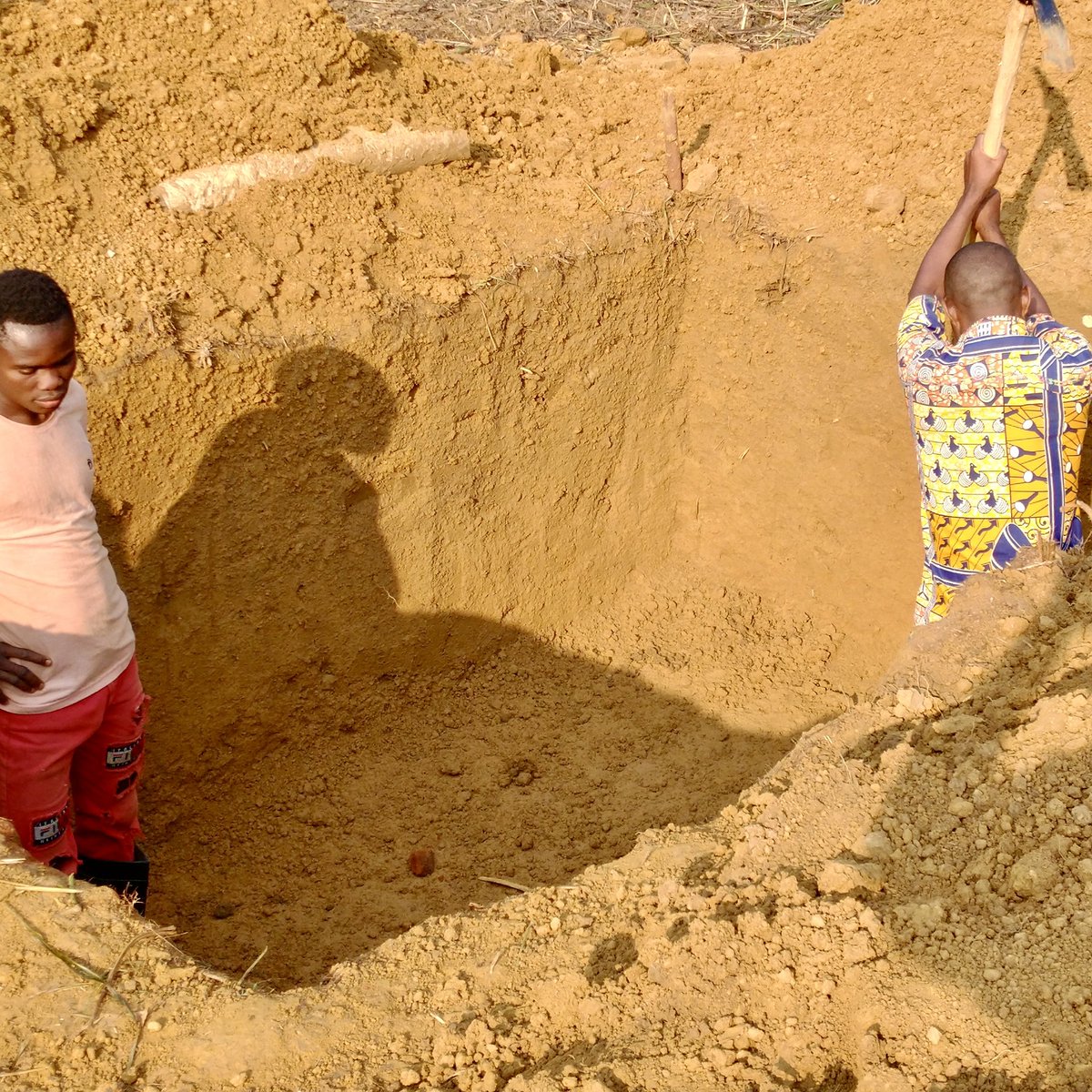 Habitat Technologies Solutions for the Congo tweet media