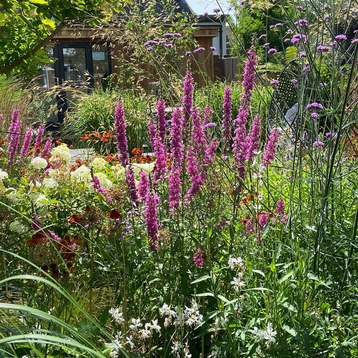 Amazing to see #garden transformations. <a href="/GreenardenD/">GreenArden design</a> did this #gardendesign last year. How amazing do the #plants look now! 
#gardenstyle #Gardens #gardening #gardeningtips