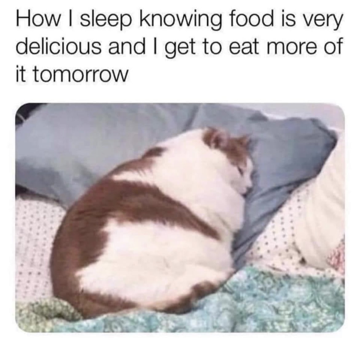 RespectfulMemes's tweet photo. https://t.co/K0vtksi9F4