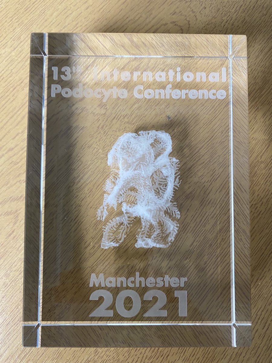 Rachel Lennon (@rlwczyk) on Twitter photo A fantastic start to #podocyte2021 - the pre-meeting organised the amazing early career team <a href="/F_Lausecker/">Franziska Lausecker</a> <a href="/RW_Naylor/">Richard W Naylor</a> <a href="/MarylineFresqu1/">Maryline Fresquet</a> <a href="/PinyuanTian/">Pinyuan Tian</a> <a href="/syb_k/">Kate Sybert</a> & <a href="/LinusButt/">Linus Butt</a> - congrats! You have set the bar high!! <a href="/podocyte2021/">Podocyte2021</a> A fantastic start to #podocyte2021 - the pre-meeting organised the amazing early career team <a href="/F_Lausecker/">Franziska Lausecker</a> <a href="/RW_Naylor/">Richard W Naylor</a> <a href="/MarylineFresqu1/">Maryline Fresquet</a> <a href="/PinyuanTian/">Pinyuan Tian</a> <a href="/syb_k/">Kate Sybert</a> & <a href="/LinusButt/">Linus Butt</a> - congrats! You have set the bar high!! <a href="/podocyte2021/">Podocyte2021</a>