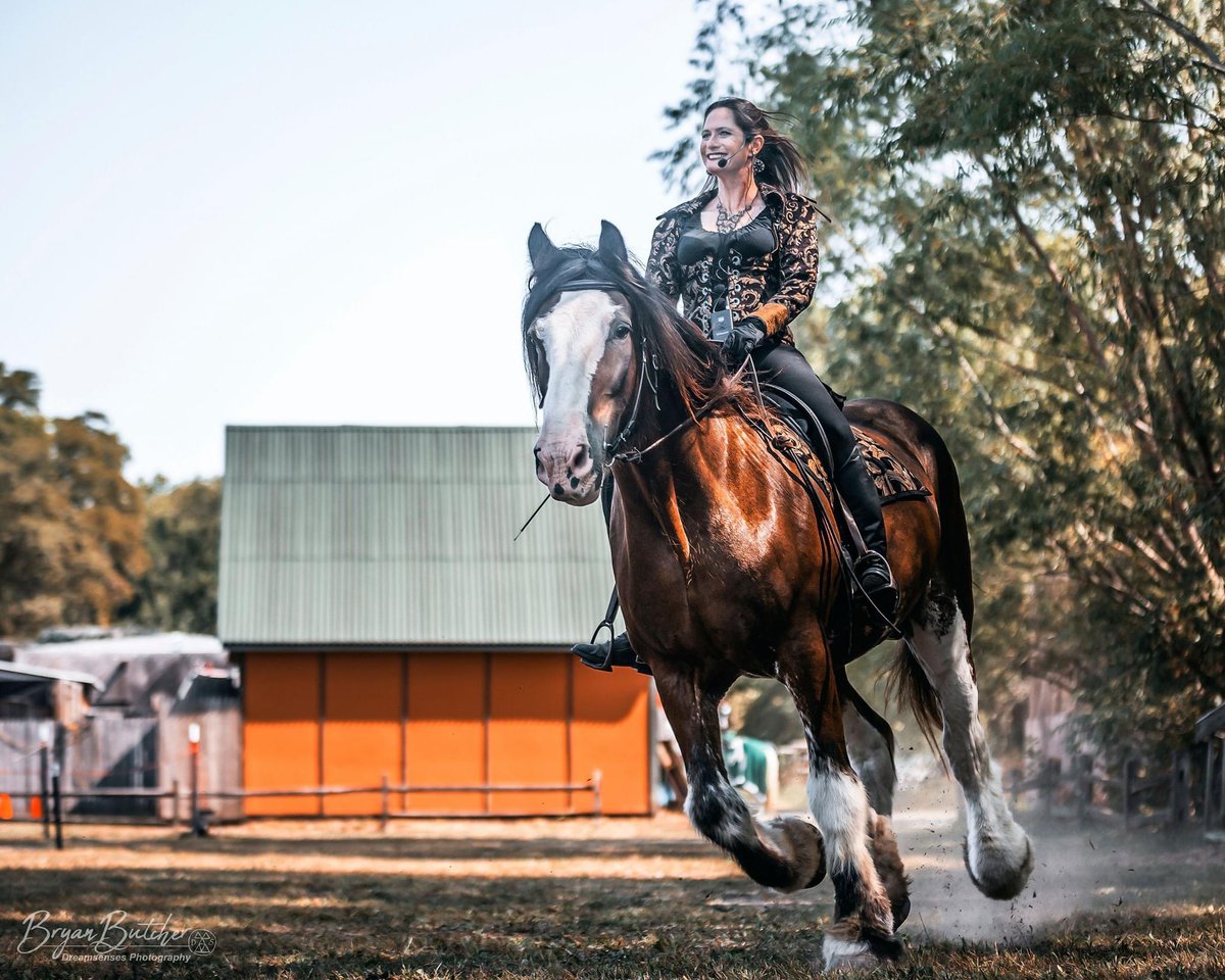 Here Ye, Here Ye! Tickets for the ren faire at Sleepy Hollow are on sale now! Get your tickets and join us for jousting, entertainment, food + beverage, + more! In addition to the Ren Faire fun, we are hosting a concert with Seven Nations for our first weekend on Sept 4th-6th!