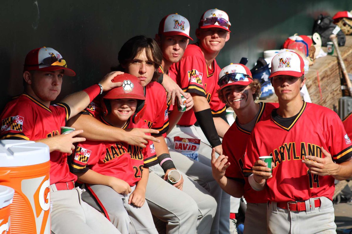 lucas frezza tweet media