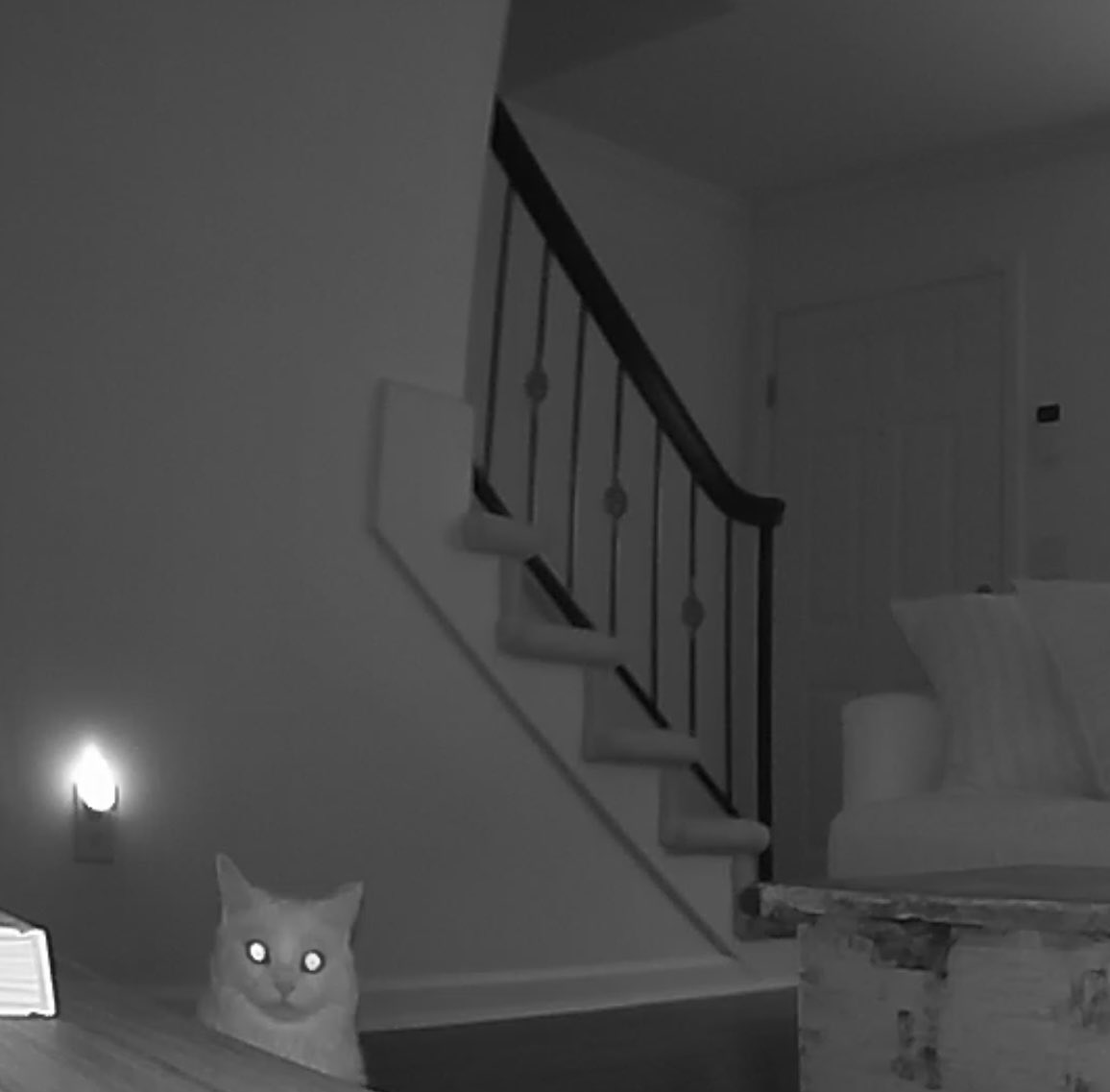 loopdaddy's tweet photo. Caught! https://t.co/gat7A1iDuj