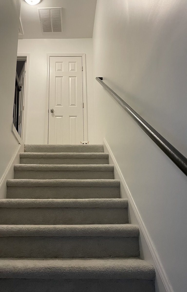 loopdaddy's tweet photo. When you see it - bricks https://t.co/VFYW9Ym1sc